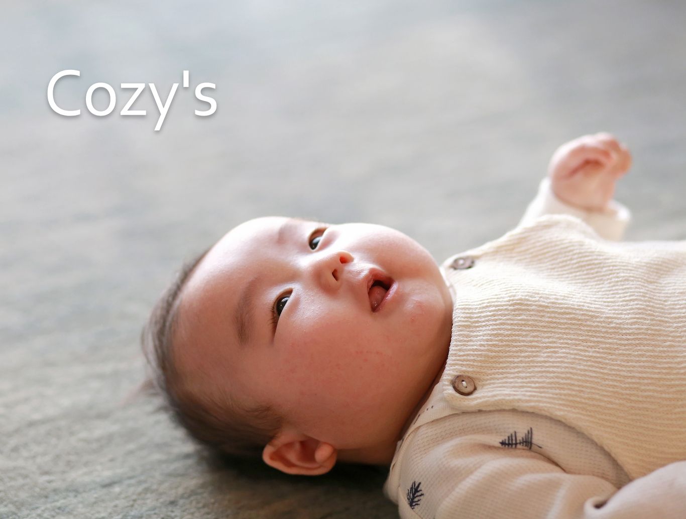 自然素材を選ぶ理由 滋賀 近江八幡 の工務店 株式会社コージーズ